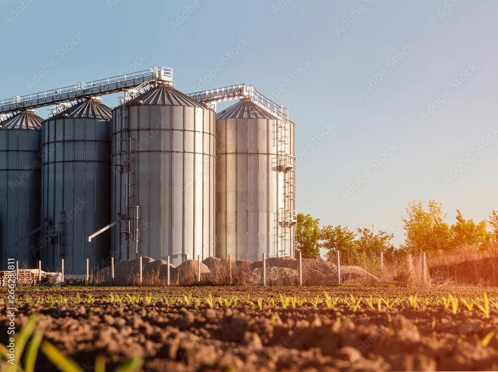 Understanding Pest Control in Food Processing